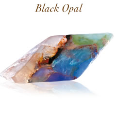 Black Opal